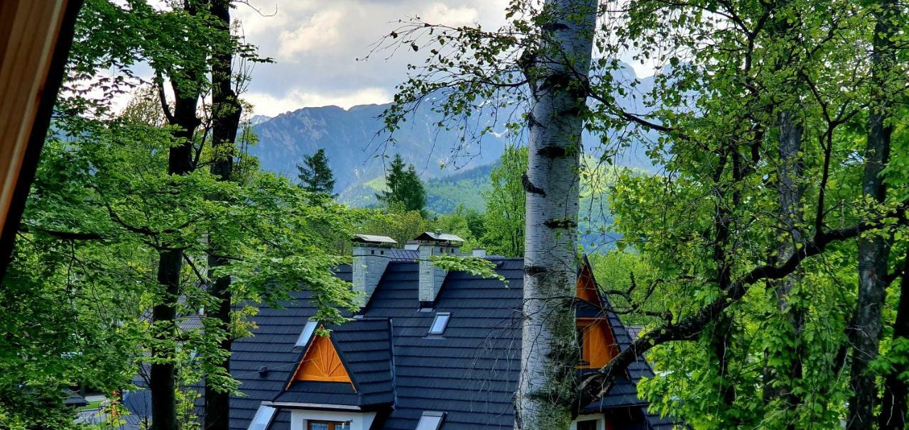 Vip Apartamenty Cristal Zakopane Ngoại thất bức ảnh